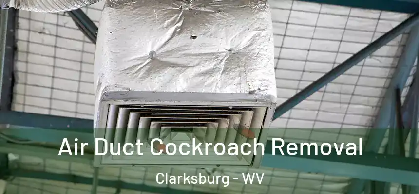  Air Duct Cockroach Removal Clarksburg - WV