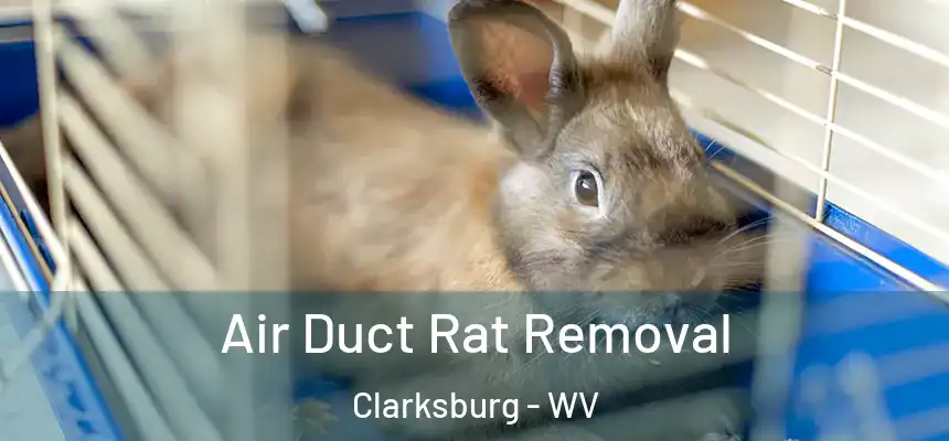  Air Duct Rat Removal Clarksburg - WV