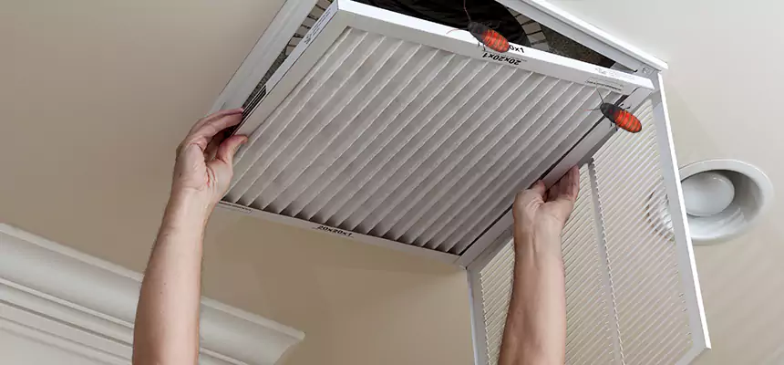Preventive Cockroach-Proofing for Ducts in Clarksburg