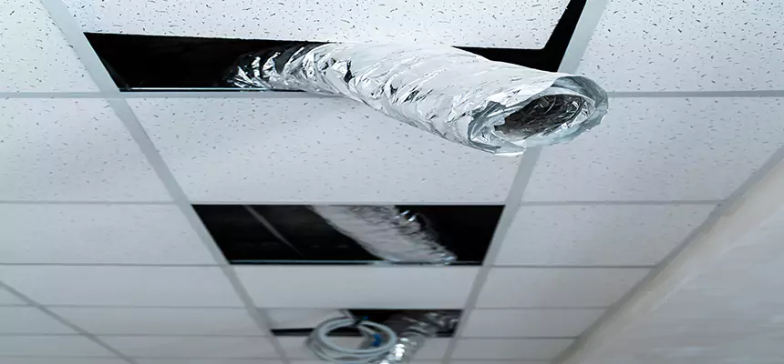 Our Air Duct Pet Hair Removal Services in Clarksburg, WV