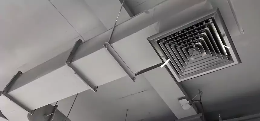 Restorative Allergy Relief Vent Cleaning – Coil, Blower & Housing Detail in Clarksburg