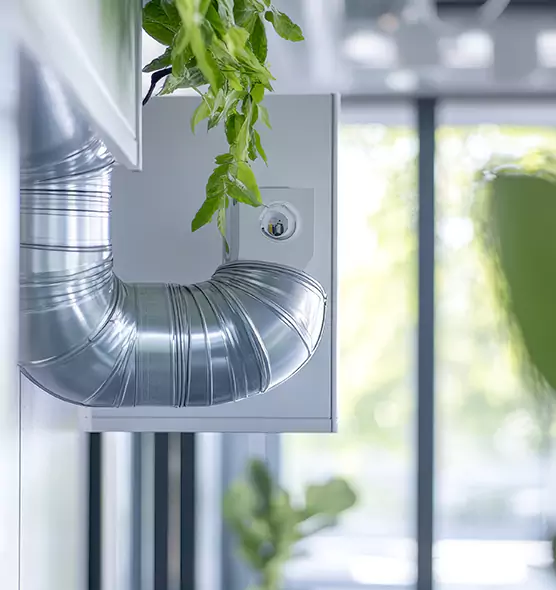 Professional Eco-Friendly Duct Cleaning Services in Clarksburg, WV