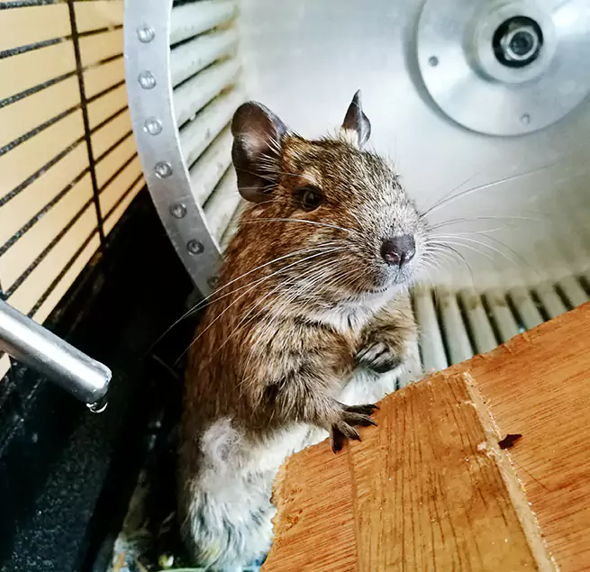 Why Homeowners & Businesses Trust Us Clarksburg, WV